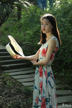 骚虎高清91频道推荐